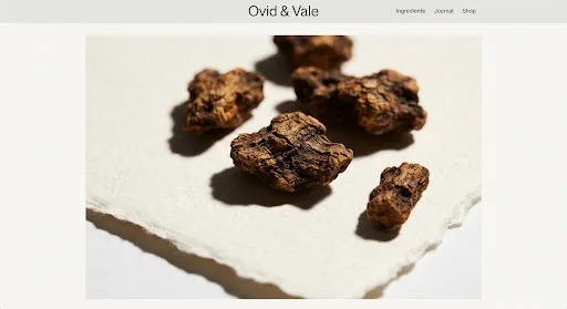 Dried Florentine iris root on grid paper