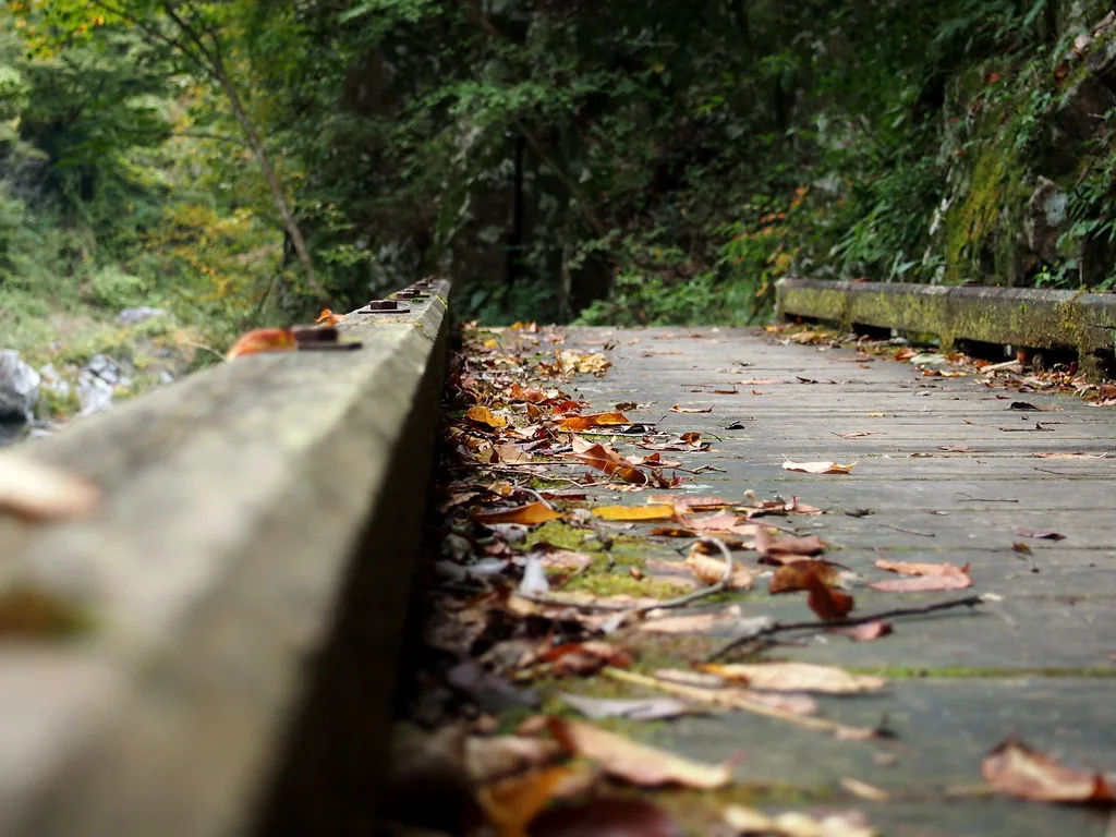 mountain path