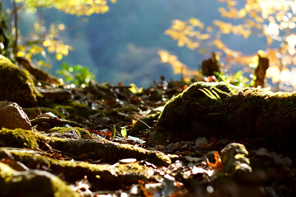 mountain path