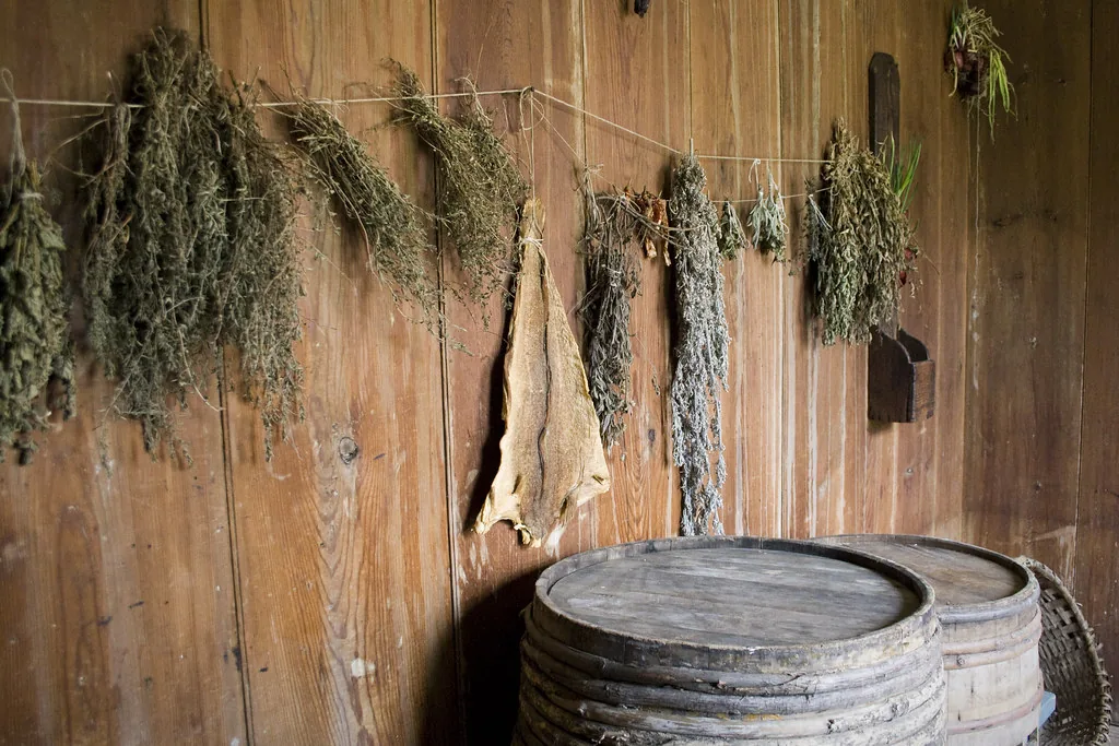 dried herbs